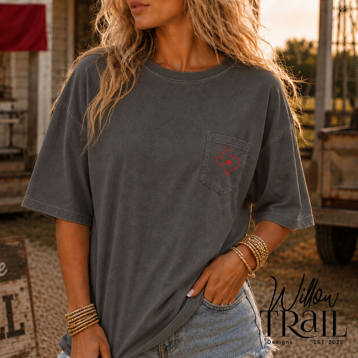 Songs About Texas Country Music Tee