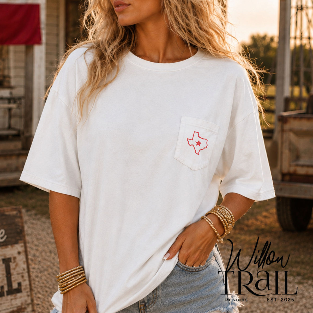Songs About Texas Country Music Tee