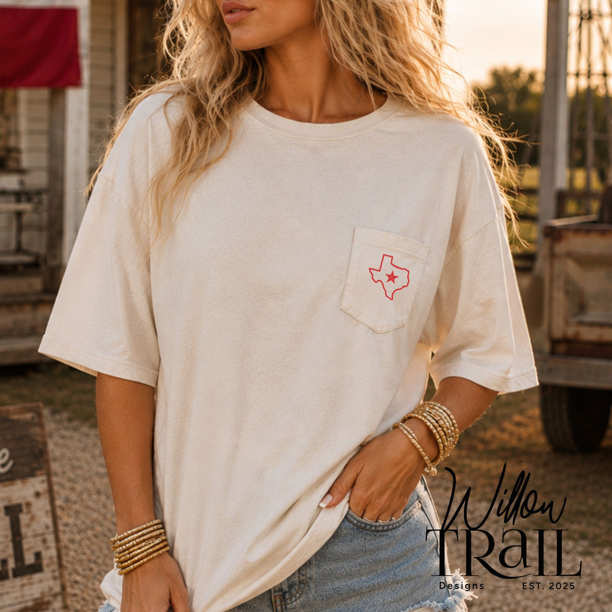 Songs About Texas Country Music Tee