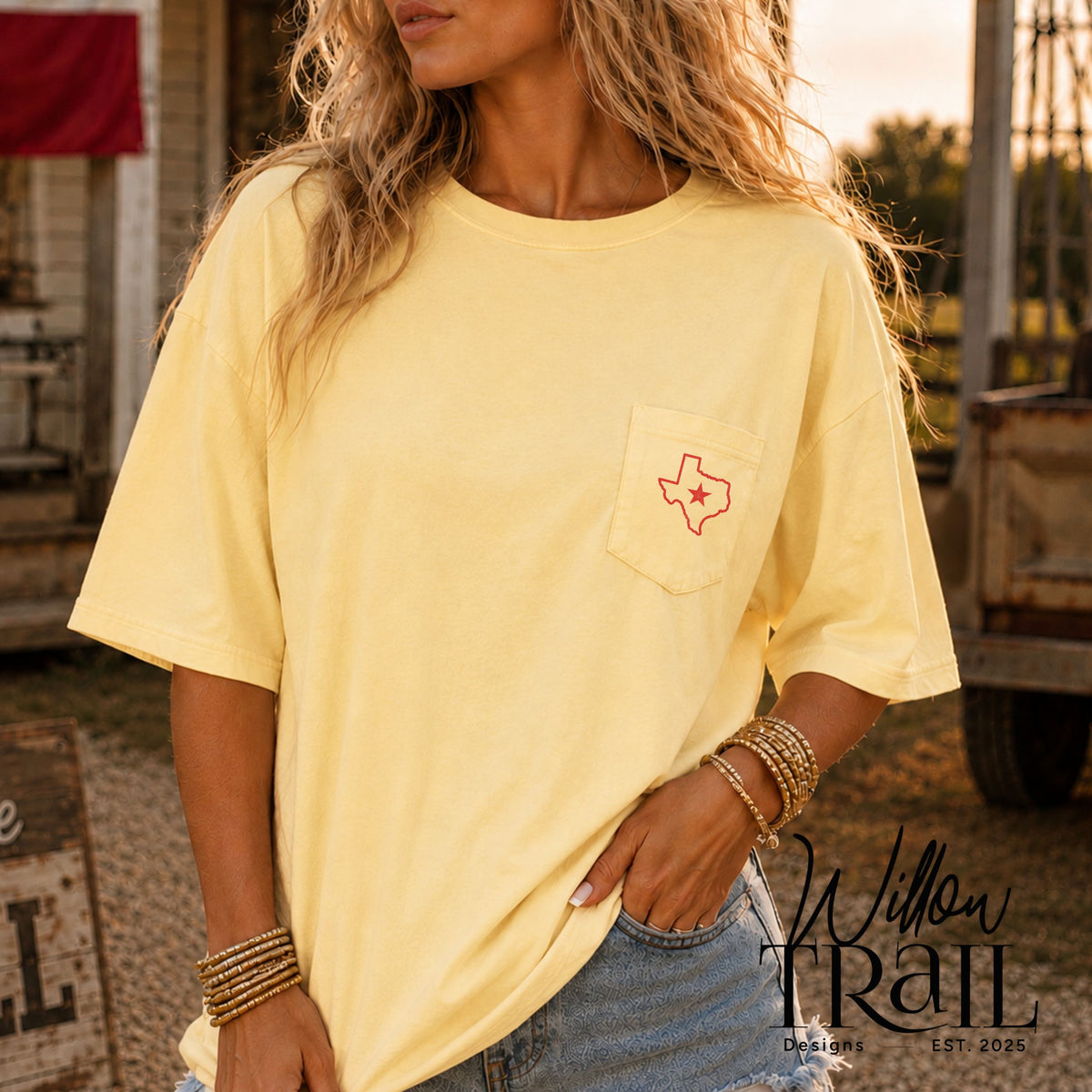 Songs About Texas Country Music Tee