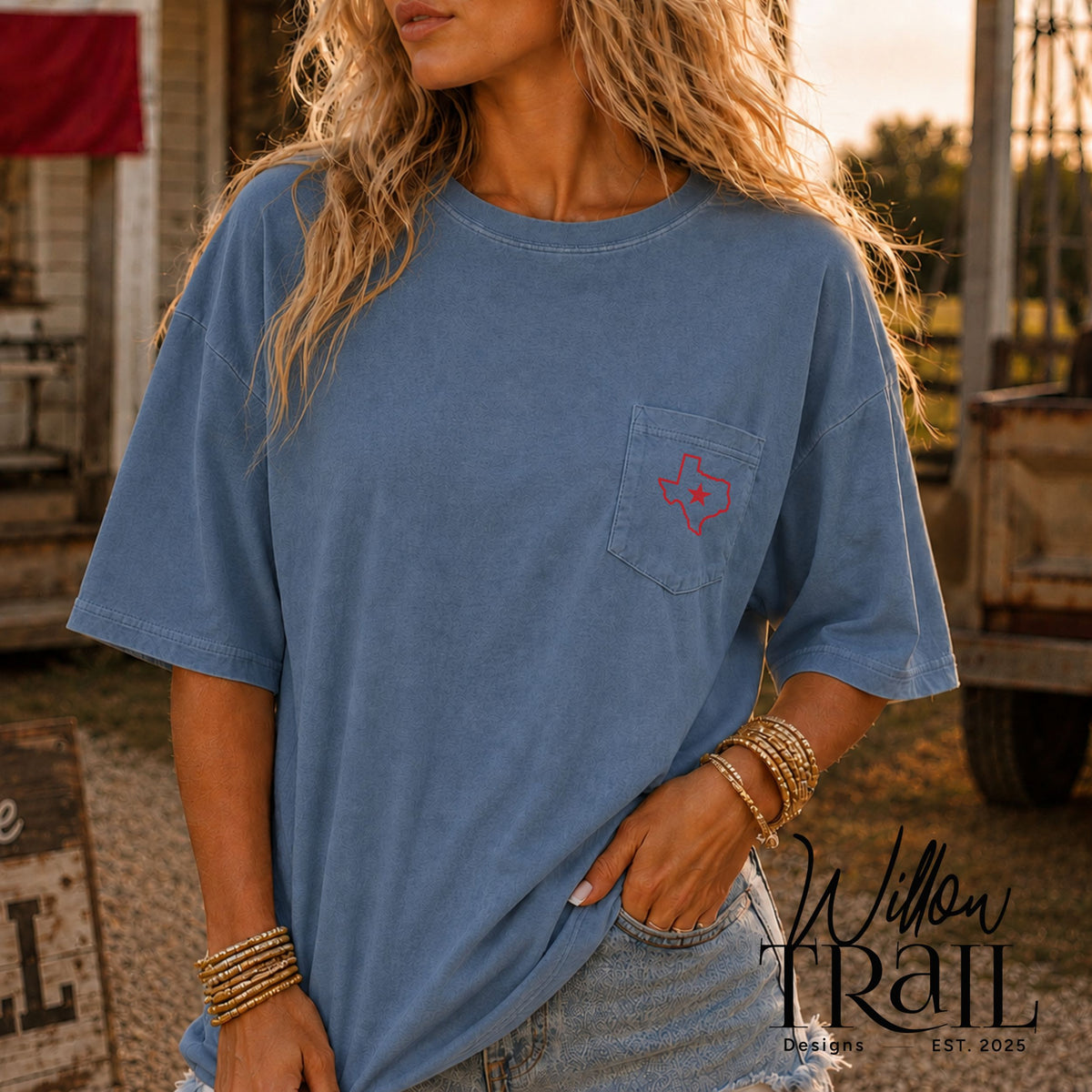 Songs About Texas Country Music Tee